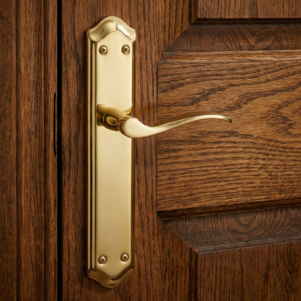 Manilla MASTER acabado dorado satinado con placa ovalada curva para puertas