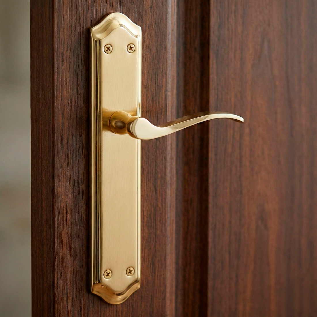 Manilla MASTER acabado dorado satinado con placa ovalada curva para puertas