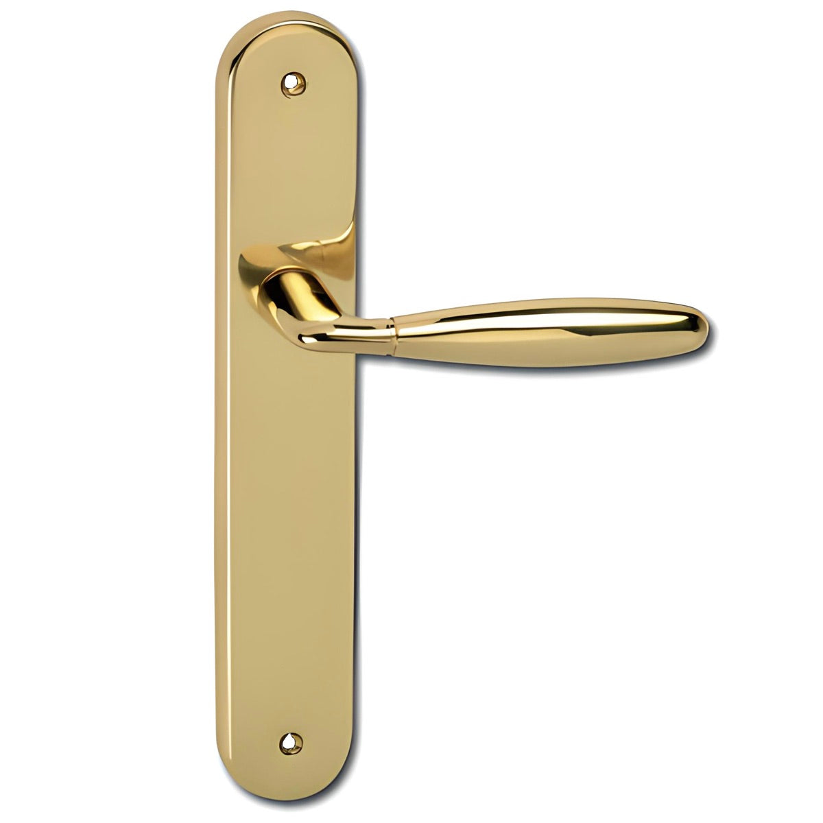 Maniglia in ottone con finitura oro lucido e placca ovale per porte modello '151'