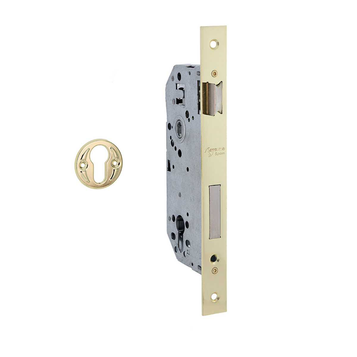 Einsteckschloss 50mm für Profilzylinder mit gerader Stulp und 85mm Dornmaß in glänzendem Gold